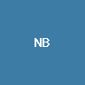Nebius (bStocks Tokenized Stoc